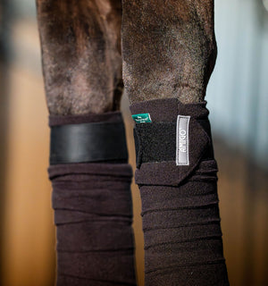 Bandes Polaires Amigo® Horseware