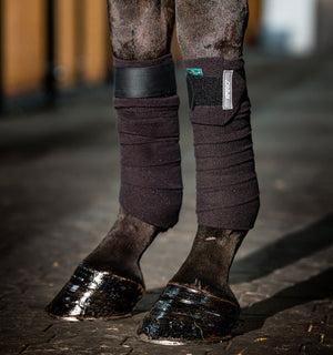 Bandes Polaires Amigo® Horseware
