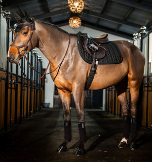 Bandes Polaires Amigo® Horseware