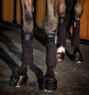 Bandes Polaires Amigo® Horseware