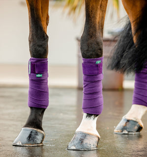 Bandes Polaires Amigo® Horseware