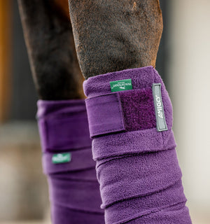 Bandes Polaires Amigo® Horseware