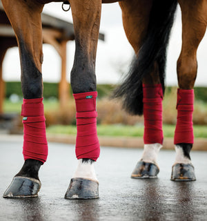 Bandes Polaires Amigo® Horseware