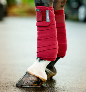 Bandes Polaires Amigo® Horseware