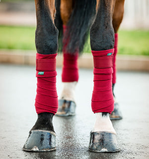 Bandes Polaires Amigo® Horseware