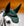 Bonnet Anti-mouches Alessandro Albanese®