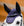 Bonnet Anti-mouches Alessandro Albanese®