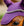 Bonnet Anti-mouches Amigo® Horseware