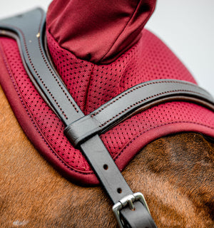 Bonnet Anti-mouches Amigo® Horseware