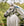 Licol de Pâturage Horseware® Fieldsafe