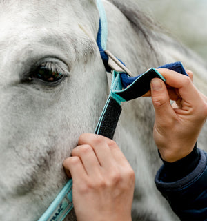 Licol de Pâturage Horseware® Fieldsafe