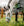 Licol de Pâturage Horseware® Fieldsafe