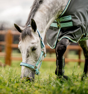 Licol de Pâturage Horseware® Fieldsafe