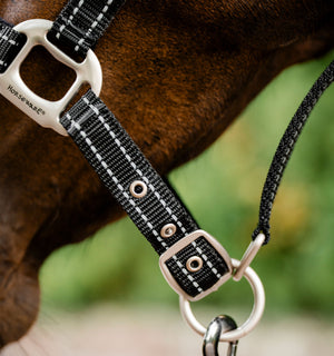 Licol de Pâturage Horseware® Fieldsafe