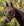 Licol de Pâturage Horseware® Fieldsafe