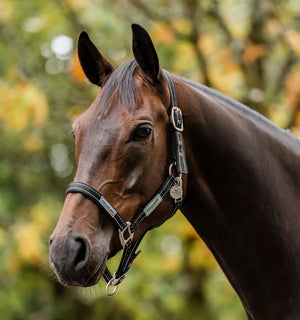 Licol de Pâturage Horseware® Fieldsafe