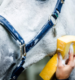 Licol de Pansage Horseware®