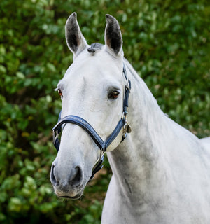 Licol de Pansage Horseware®