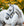 Licol de Pansage Horseware®
