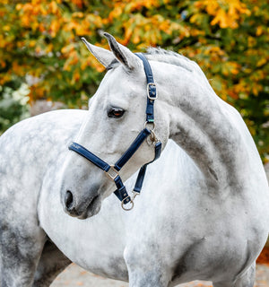 Licol de Pansage Horseware®