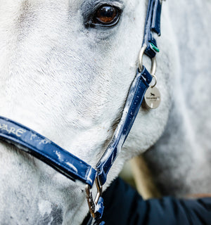 Licol de Pansage Horseware®
