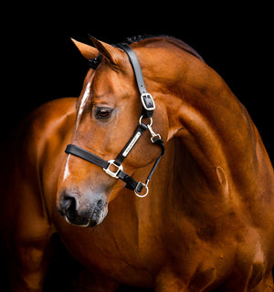 Licol en Cuir Horseware® Signature