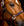 Licol en Cuir Horseware® Signature