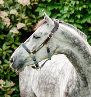 Licol Tressé Horseware® Signature