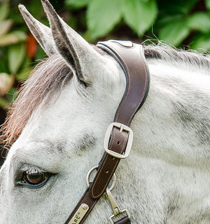 Licol Tressé Horseware® Signature