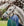 Licol Tressé Horseware® Signature