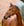 Licol de Concours Horseware® Signature