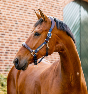Licol de Concours Horseware® Signature