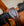 Licol de Concours Horseware® Signature