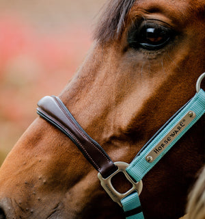 Licol de Concours Horseware® Signature