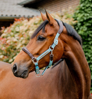 Licol de Concours Horseware® Signature