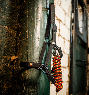Ensemble Licol et Longe Horseware® Newmarket