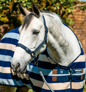 Ensemble Licol et Longe Horseware® Newmarket
