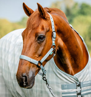 Ensemble Licol et Longe Horseware® Newmarket