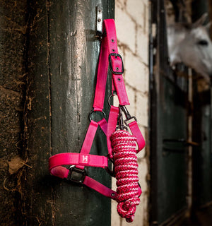 Ensemble Licol et Longe Horseware® Newmarket