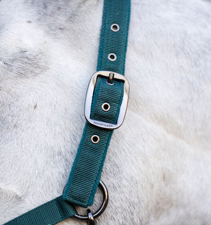 Ensemble Licol et Longe Horseware®