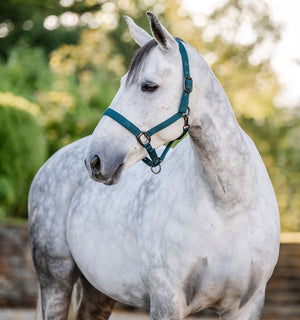 Ensemble Licol et Longe Horseware®