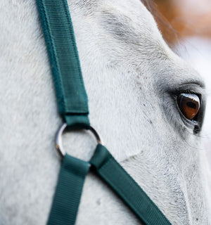 Ensemble Licol et Longe Horseware®