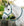 Ensemble Licol et Longe Horseware®