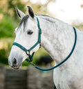 Image for Комплект оглавник и повод Horseware® – С поларена подплата, повод 2 m