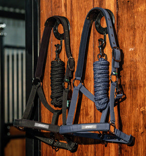 Ensemble Licol et Longe Amigo® Horseware