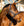 Ensemble Licol et Longe Amigo® Horseware