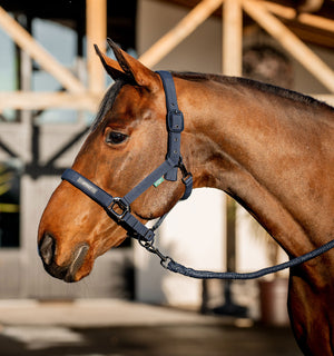 Ensemble Licol et Longe Amigo® Horseware
