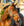 Ensemble Licol et Longe Amigo® Horseware