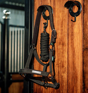 Ensemble Licol et Longe Amigo® Horseware
