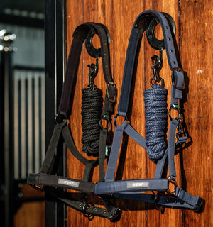 Ensemble Licol et Longe Amigo® Horseware